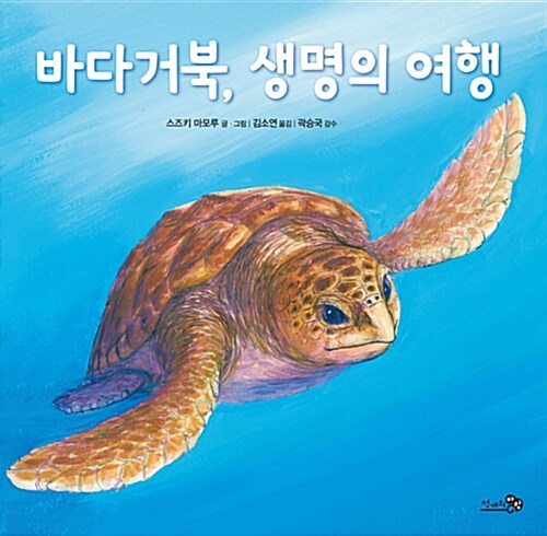 바다거북, 생명의 여행 줄거리·추천 | 초등1학년 · 스즈키 마모루 · 천개의바람