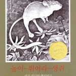 높이 뛰어라 생쥐 (미국 인디언 옛이야기) 표지