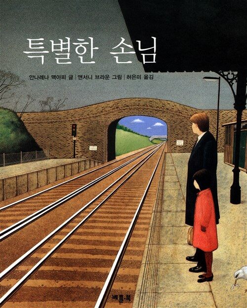 특별한 손님 표지