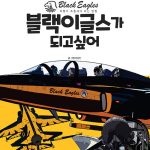 블랙이글스가 되고 싶어 표지