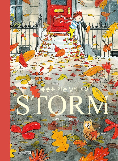 STORM (폭풍우 치는 날의 기적) 표지
