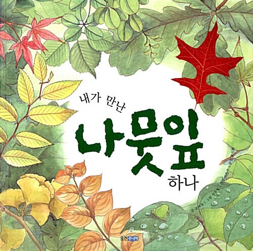 내가 만난 나뭇잎 하나 표지