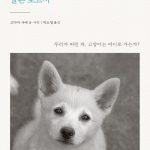 유기동물에 관한 슬픈보고서 표지