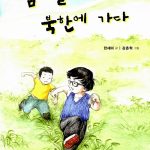 김하늘 북한에 가다 표지