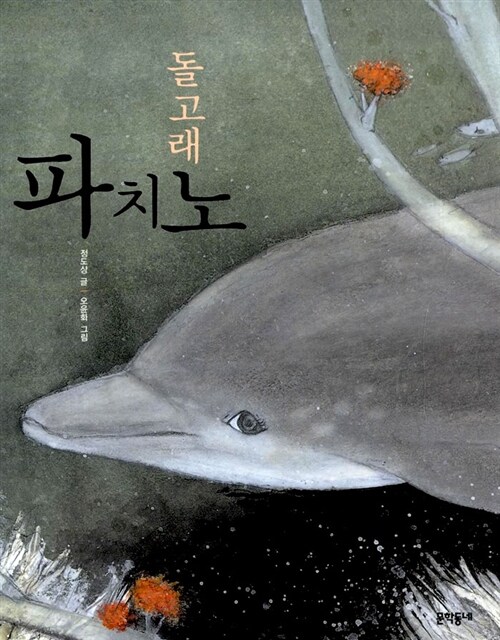 돌고래 파치노 표지