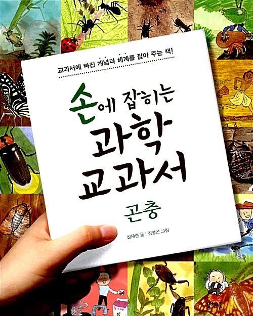 손에 잡히는 과학 교과서. 12:곤충 표지