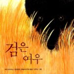 검은 여우 표지