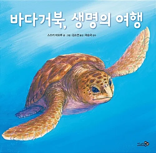 바다거북, 생명의 여행 표지