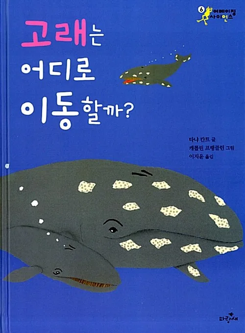 고래는 어디로 이동할까? 표지