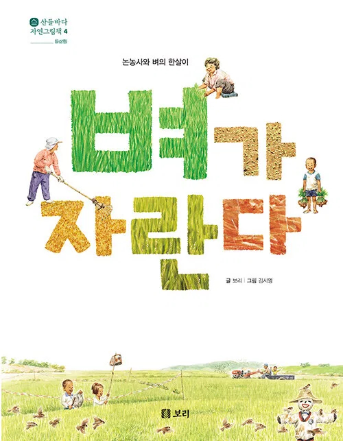 벼가 자란다