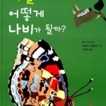 애벌레는 어떻게 나비가 될까? 표지