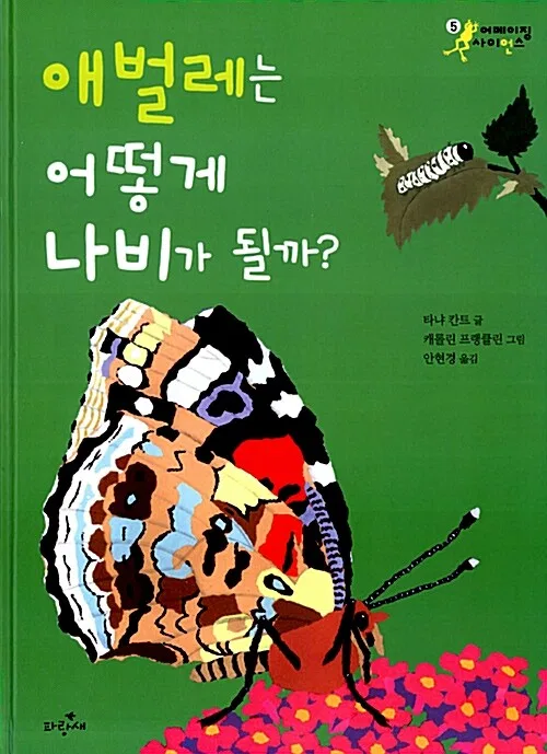 애벌레는 어떻게 나비가 될까?