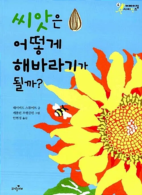 씨앗은 어떻게 해바라기가 될까? 표지