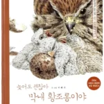 늦어도 괜찮아 막내 황조롱이야 표지